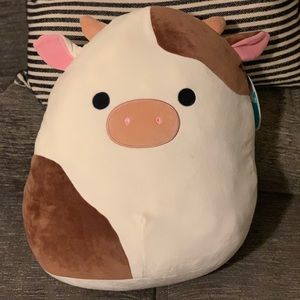 SOLD Ronnie Squishmallow 16”